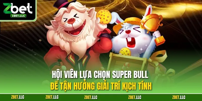 Hội viên lựa chọn Super Bull để tận hưởng giải trí kịch tính